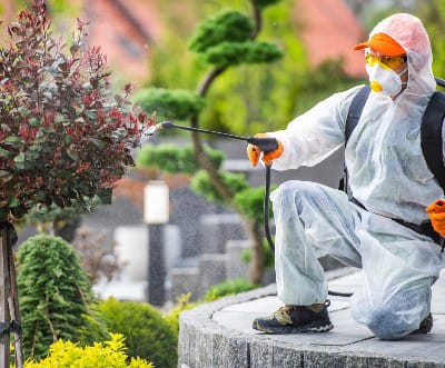 Pest Control, Sustainability & Green Practices